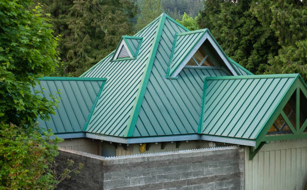 Best Chimney Flashing Repair  in Fortuna Foothills, AZ