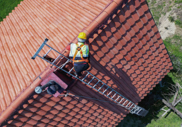 Best Flat Roofing  in Fortuna Foothills, AZ